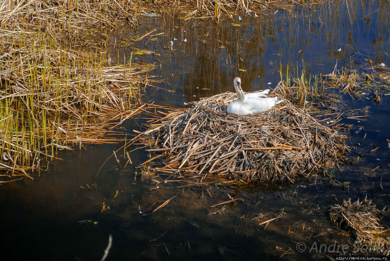 Daugavgrīvas Cietoksnis Рига, Латвия