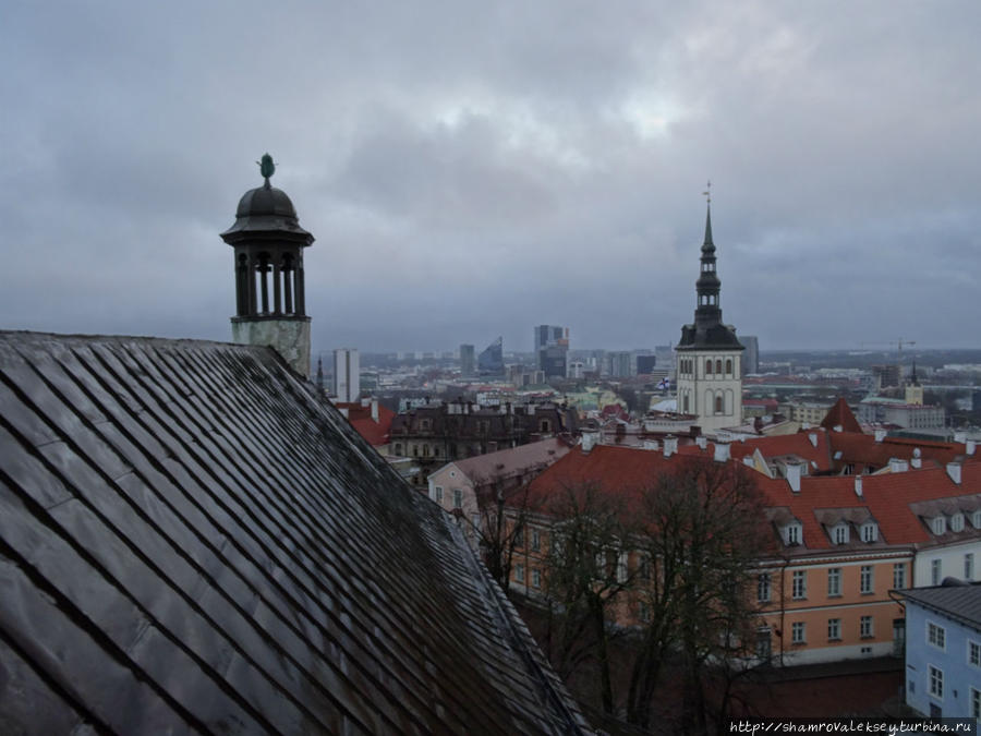 Таллин. Панорамы города с высоты колокольни Домского собора Таллин, Эстония