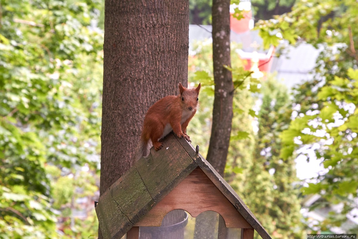 Печоры Печоры, Россия