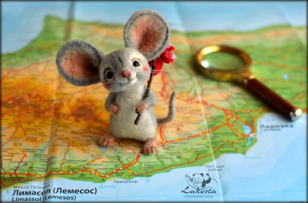 Мышка путешественница