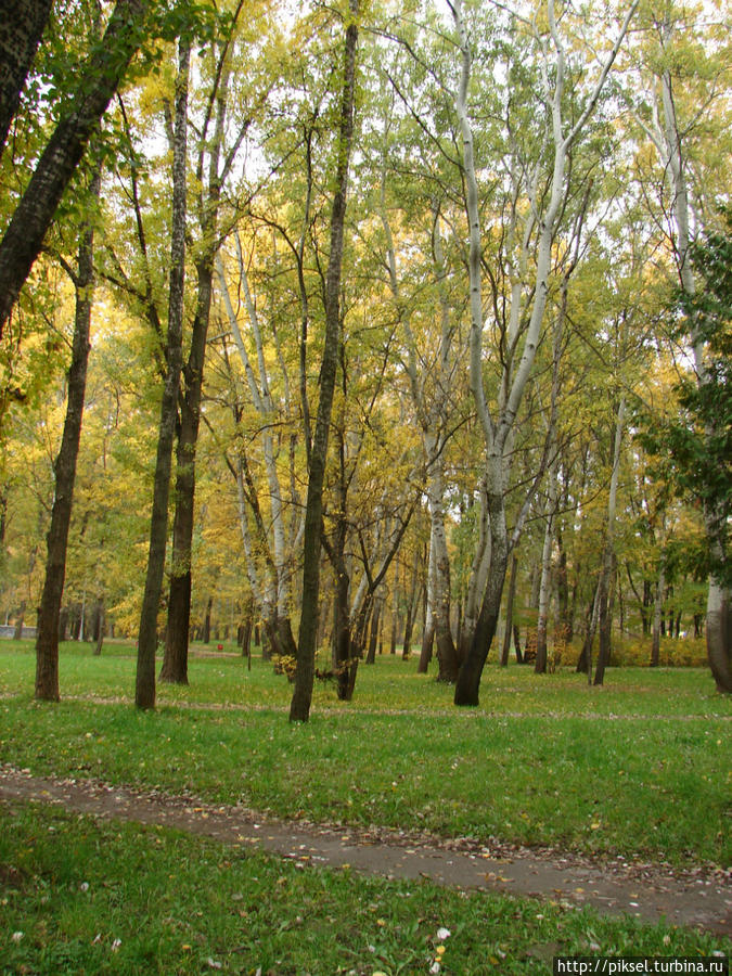 Дорогожицкий парк Киев, Украина