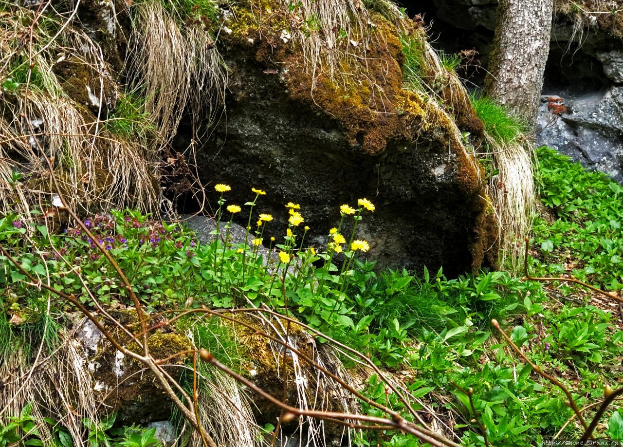 Пещера Болии Беница, Румыния Пещера Болии Беница, Румыния