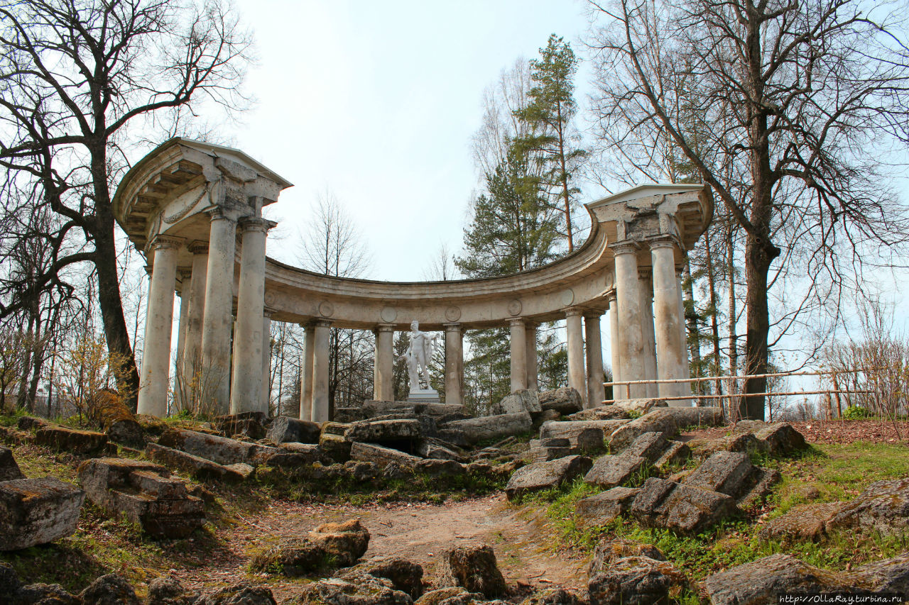 Павловский парк в мае или в гости к белкам (фотоальбом). Павловск, Россия