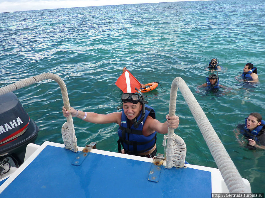 Счастье от п плавания Баваро, Доминиканская Республика