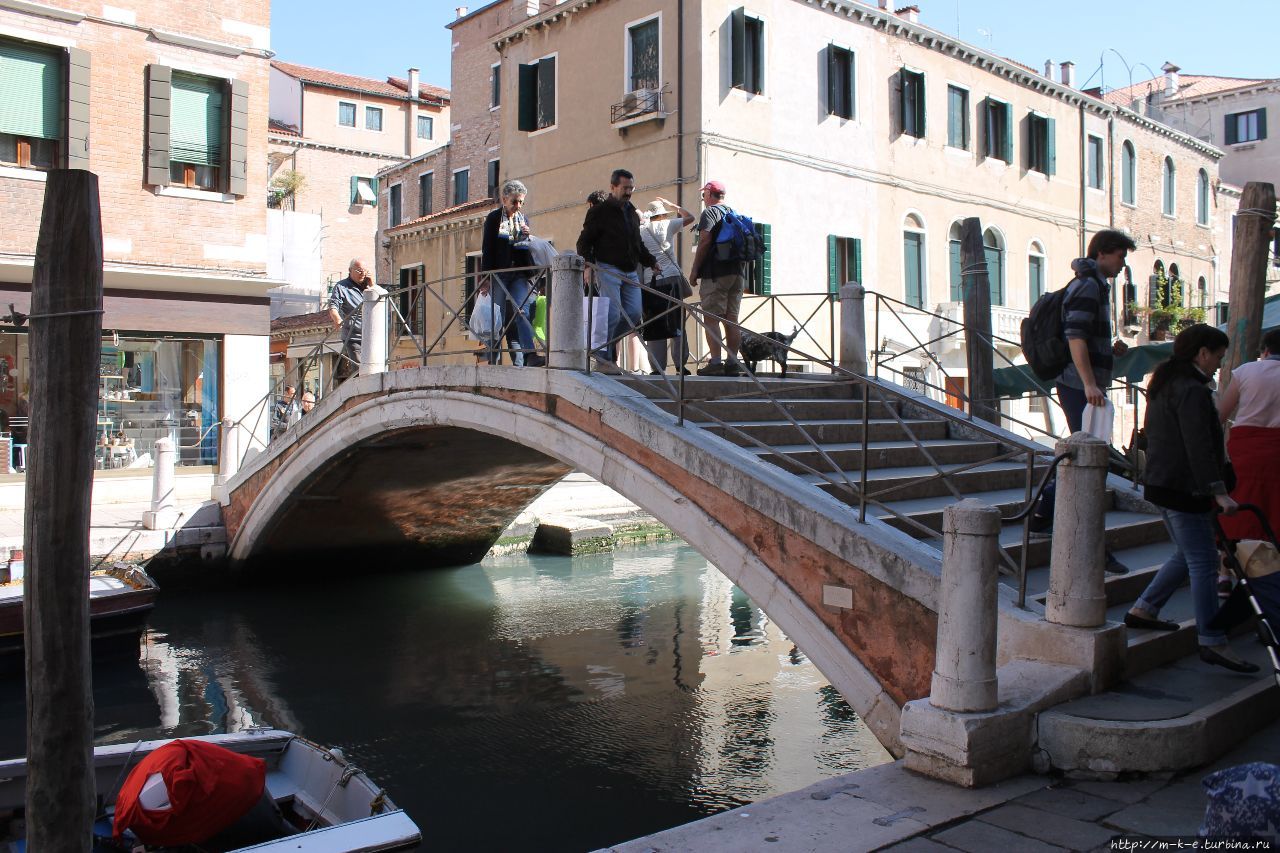 Пешая прогулка от моста Академии с посещением церквей Венеция, Италия
