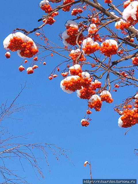 За Крещенской водой к проруби... Красноярск, Россия