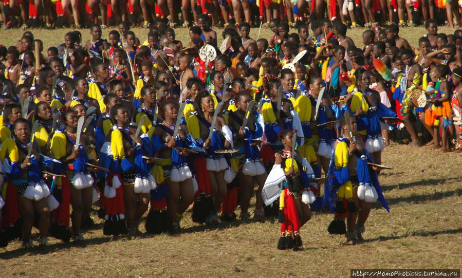 Умхланга. День VII. Танец перед королем Лобамба, Свазиленд