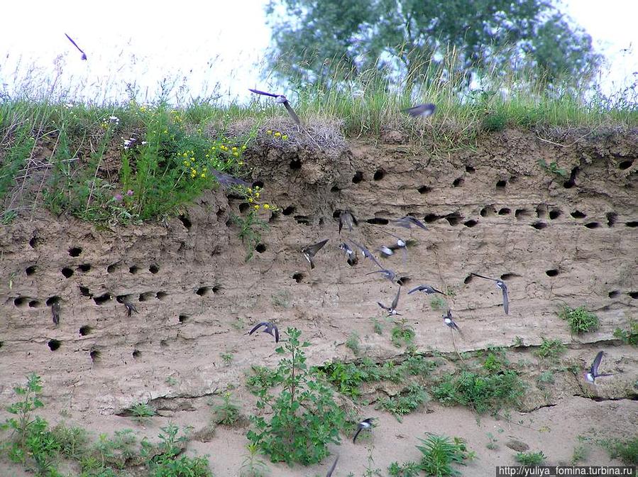 Девушка с веслом