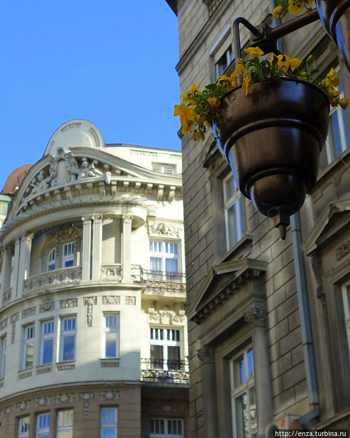 Князь Михаил, цветы и кофе Белград, Сербия