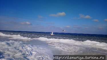 В царстве Снежной Королевы Юрмала, Латвия