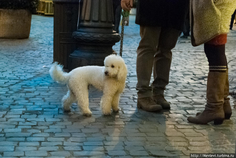 Рим вечерний Рим, Италия