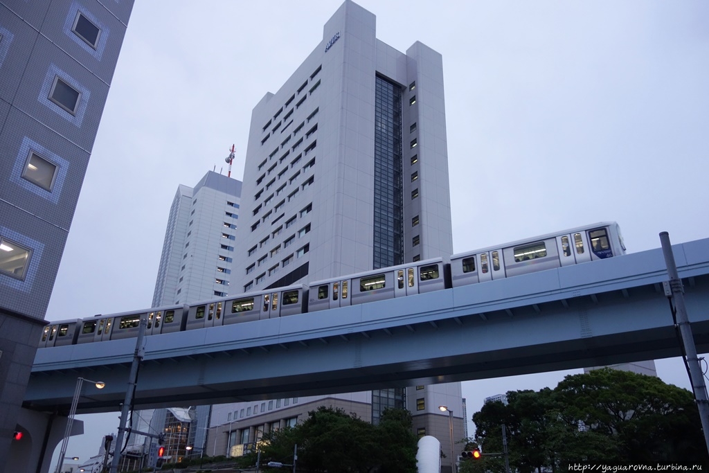 Префектура токио. Токио летит. Токио с птичьего полета ночью. Япония район сибуя. Япония токио руфинг.