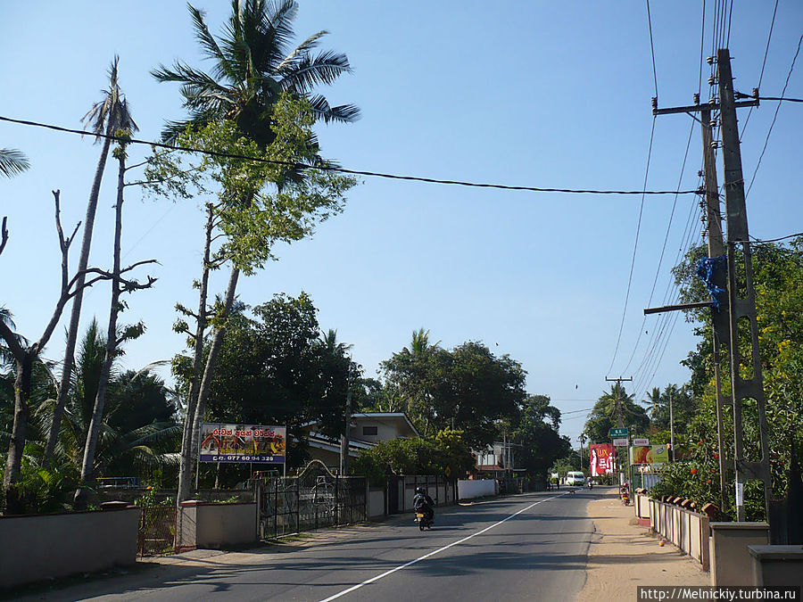 Прогулка по Ваддуве Ваддува, Шри-Ланка