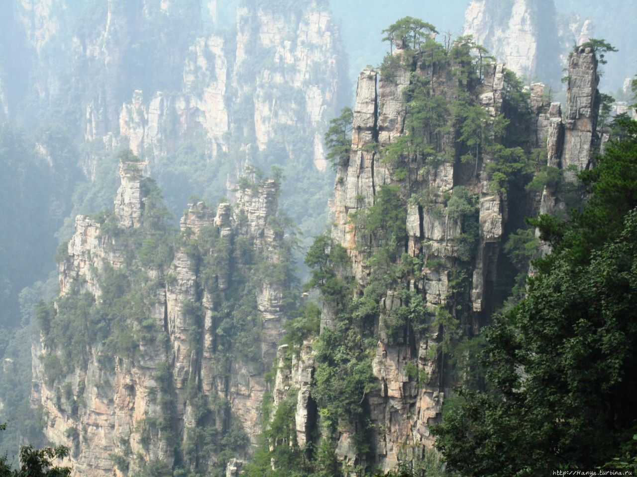 Резерват Тяньцзышань / Tianzi Mountain Natural Resource Reserve