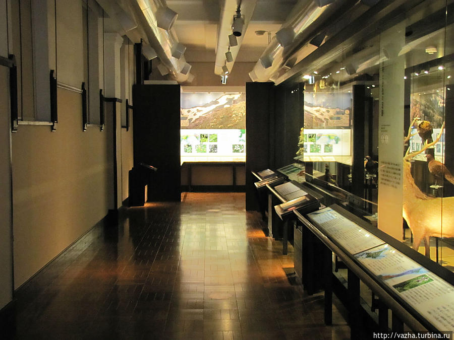 Национальный музей природы и науки. Первая часть Токио, Япония