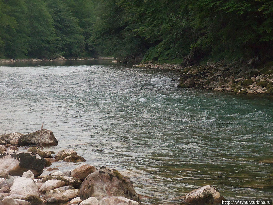Река  Тара Жабляк, Черногория