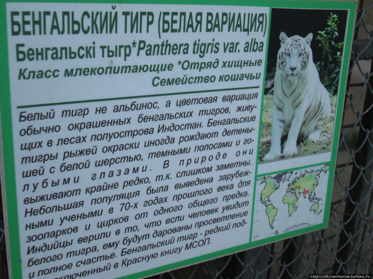 Прогулка по столичному зоопарку в майский день Минск, Беларусь