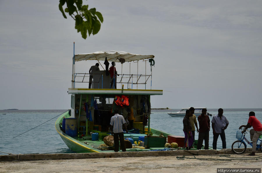 Рыбаки готовятся к выходу в океан Мальдивские острова