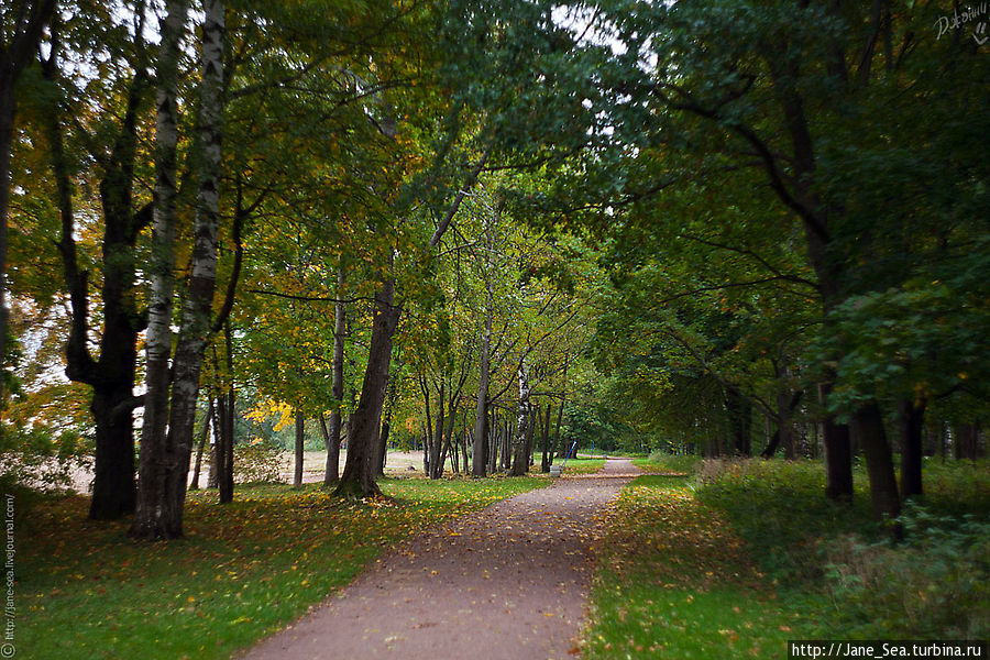 Пойманная неуловимая осень в парке Александрия Петергоф, Россия