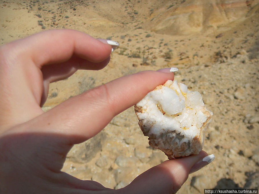 Большой махтеш и каменные деревья Мицпе-Рамон, Израиль