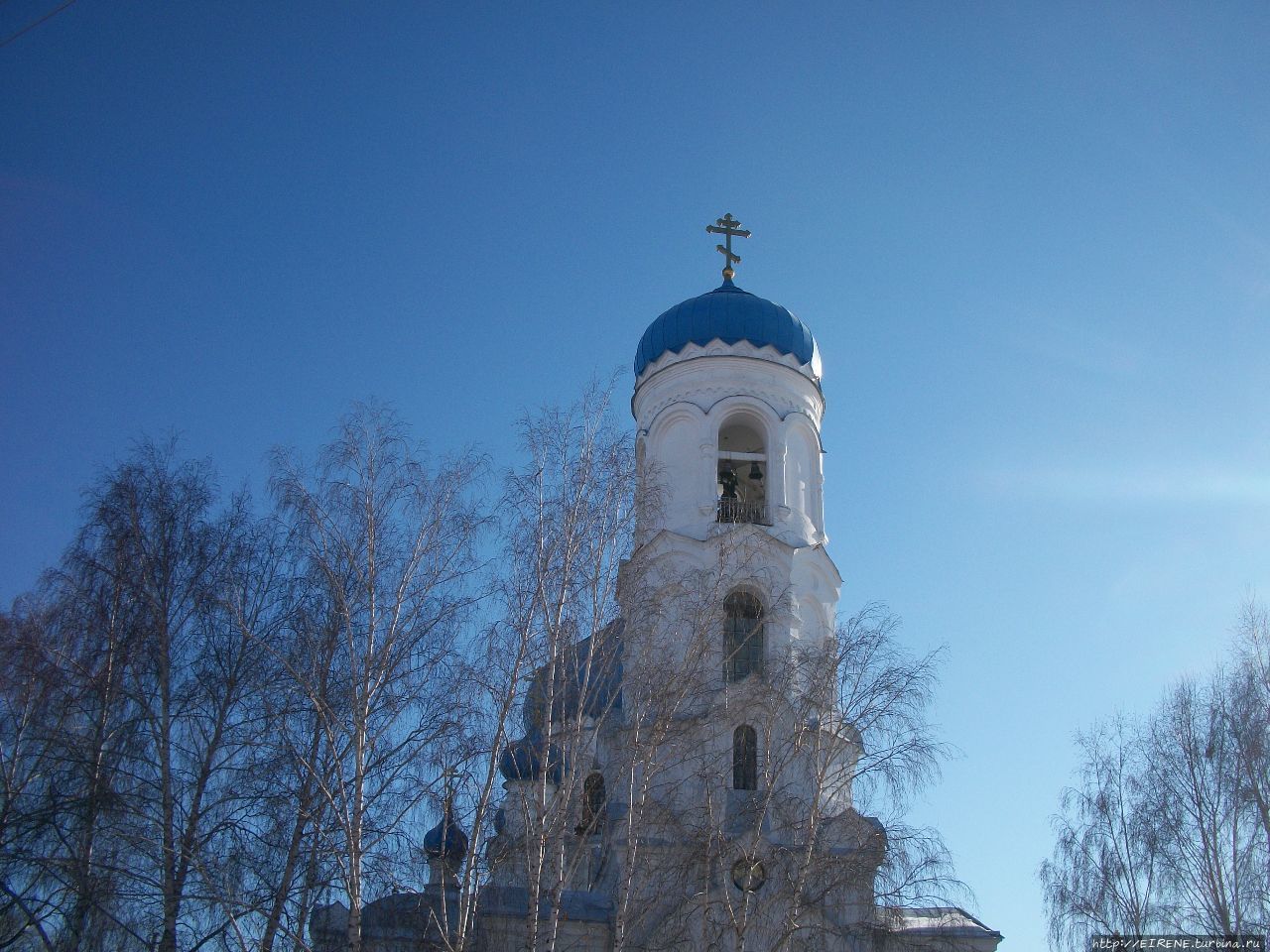 Лебединая песня из Алтайской зимовки Бийск, Россия