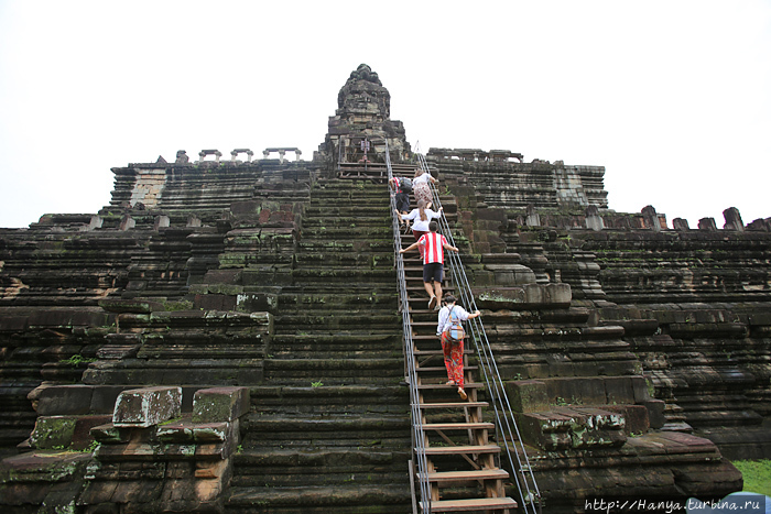 Храм Бапуон. Вертикальная лестница к центральной башне. Фото из интернета