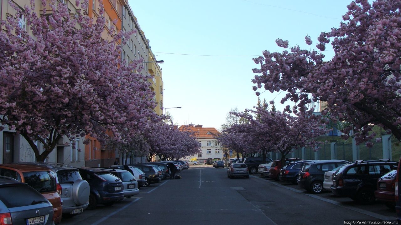 Великолепная Прага Прага, Чехия