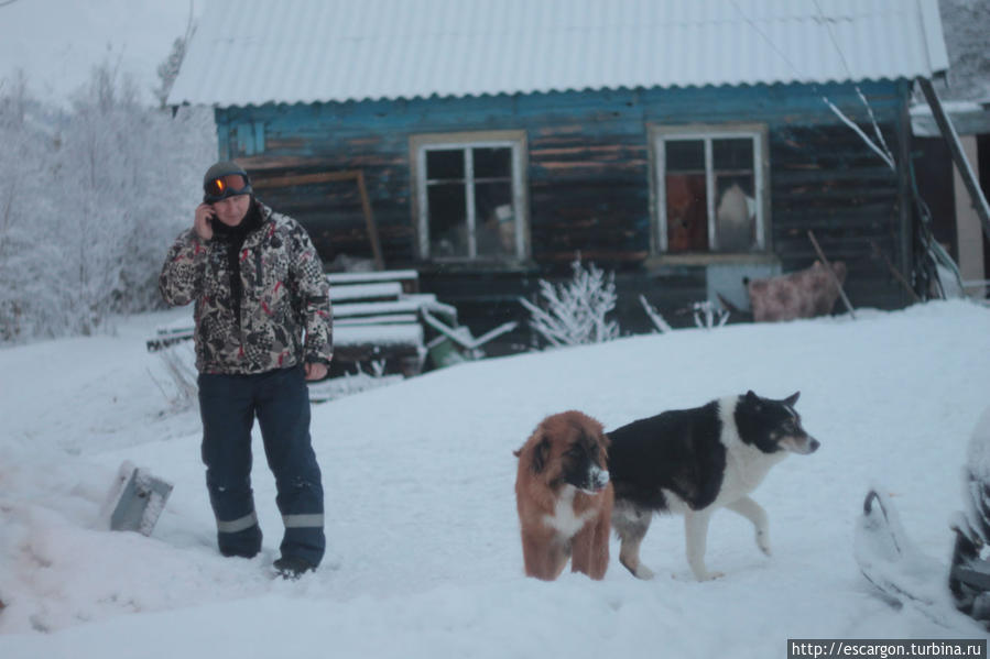 Милый глупый Чупакабра Мурманская область, Россия