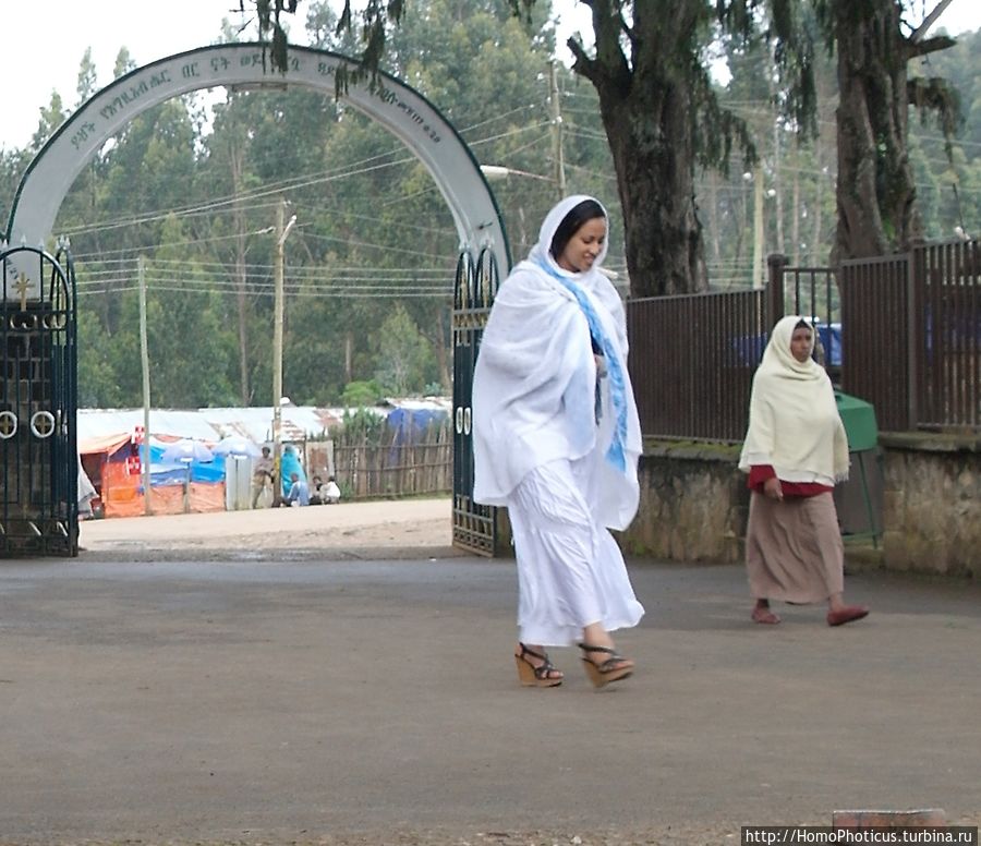 Легкие молодой столицы Аддис-Абеба, Эфиопия