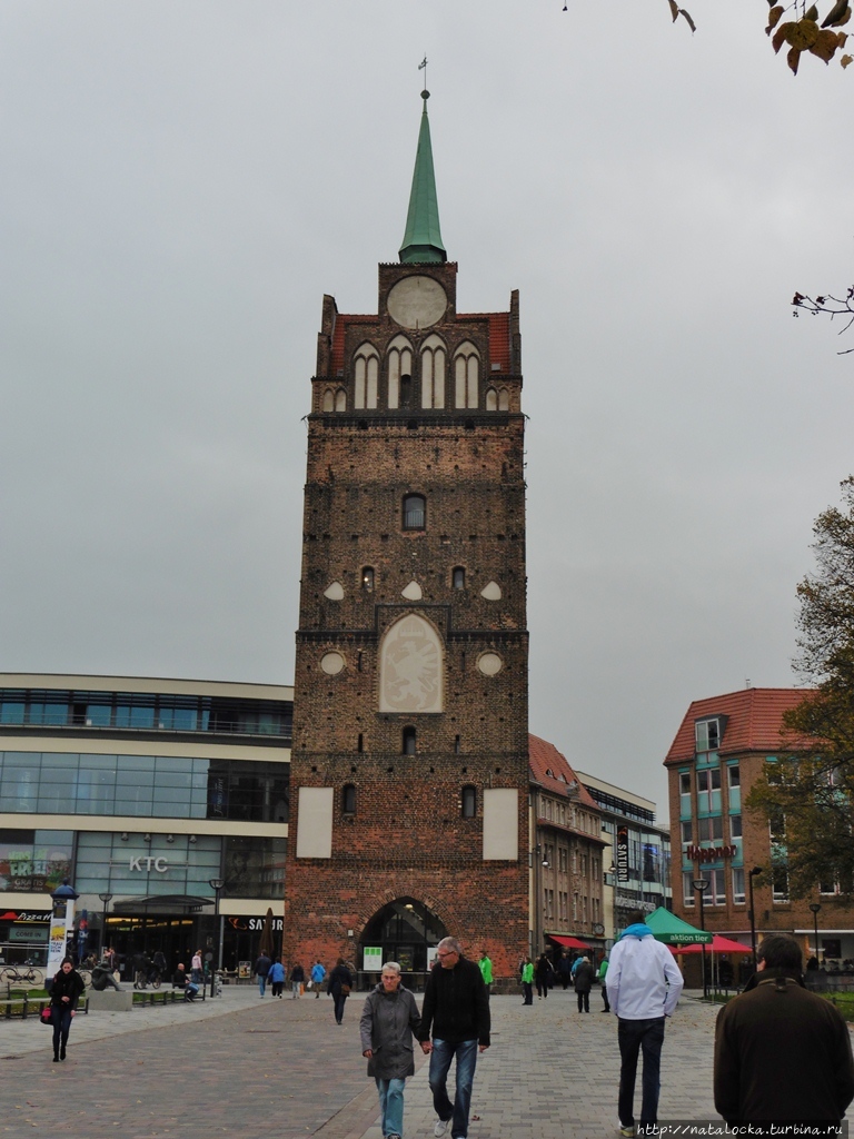 Ганзейский город Росток. Росток, Германия