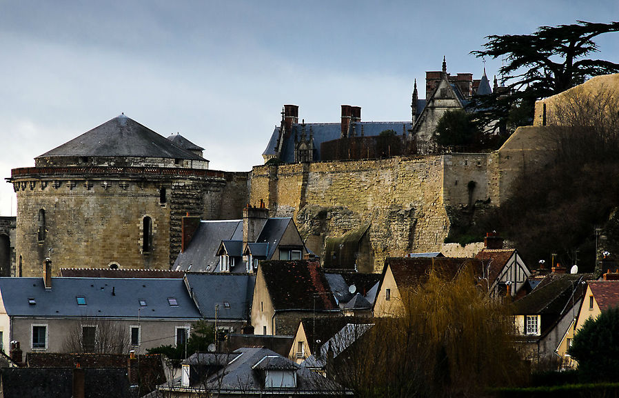 Вид на крепость Амбуаз из дома Да Винчи Амбуаз, Франция