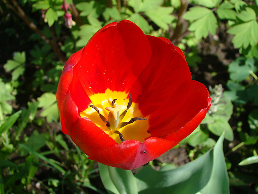 Девочки! Весна! Москва, Россия