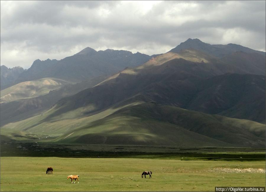 А в даль уходят горы, суровые, притягивающие своей энергетической силой... Чуйская область, Киргизия