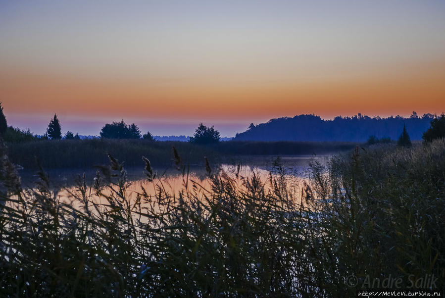 Осень. Озеро Каниера, рассвет, утро Кемери, Латвия