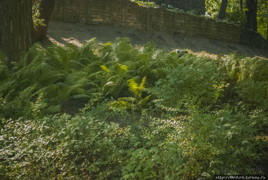 Чем дышит город Рига, Латвия