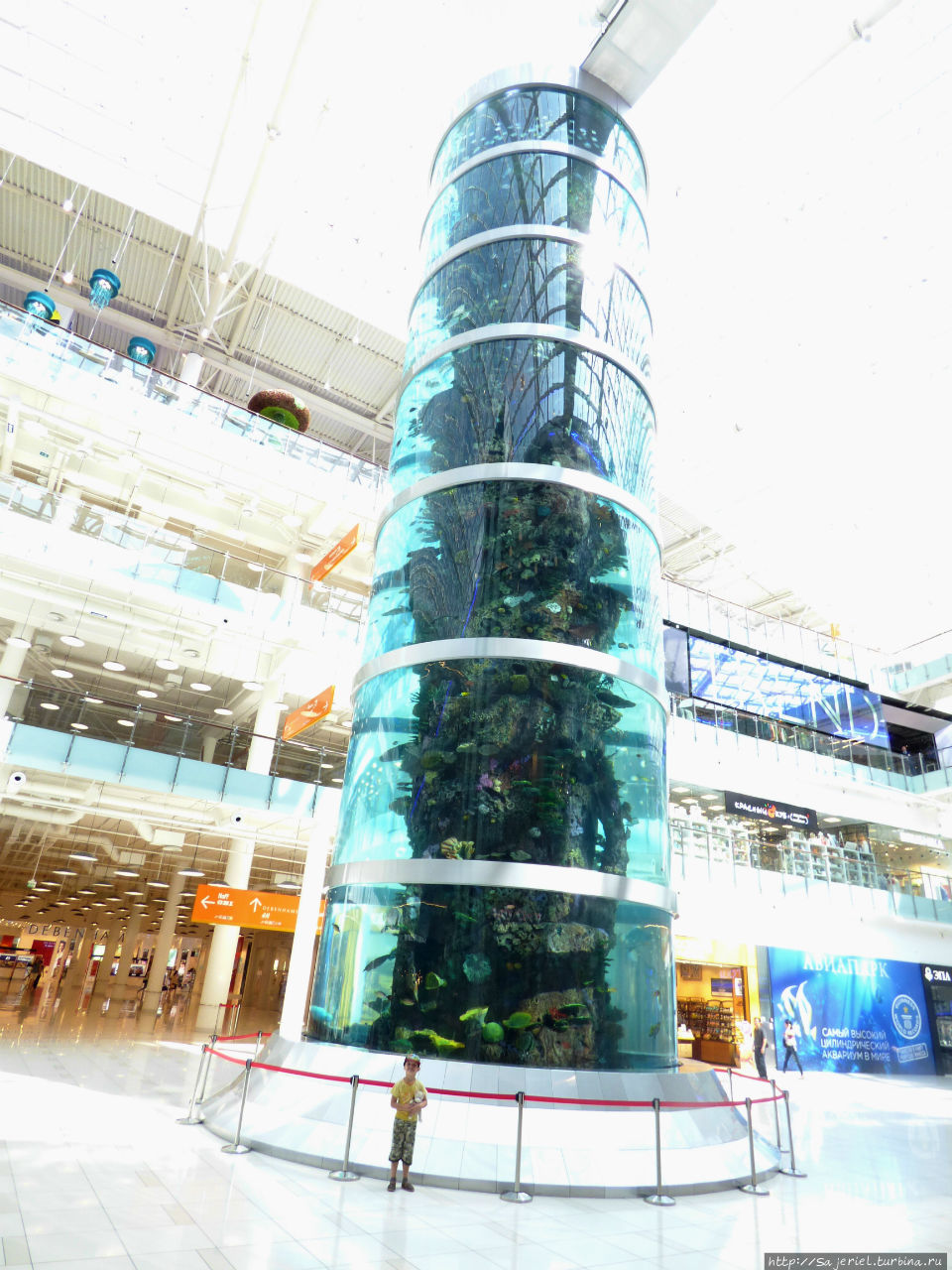 Самый высокий цилиндрический аквариум в мире / Cilindricheskiy Akvarium