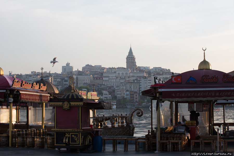Восточная сказка — Стамбул. День третий. Стамбул, Турция