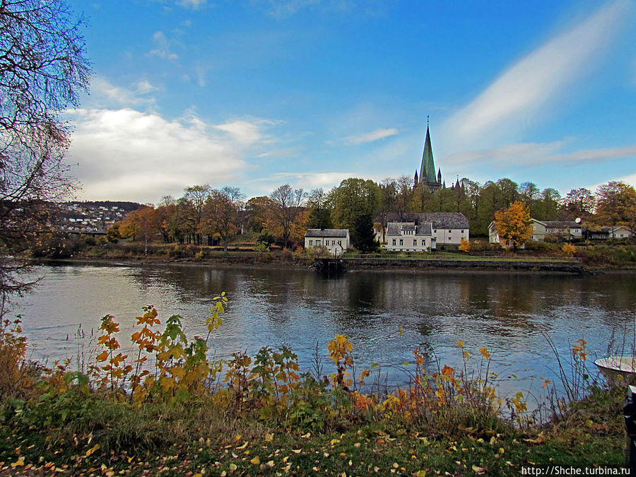 На берегах реки Нидельва (Nidelva) Тронхейм, Норвегия