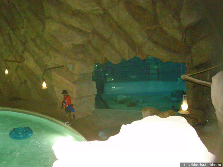 Аквариум, где проходит подводное шоу Абу-Даби, ОАЭ