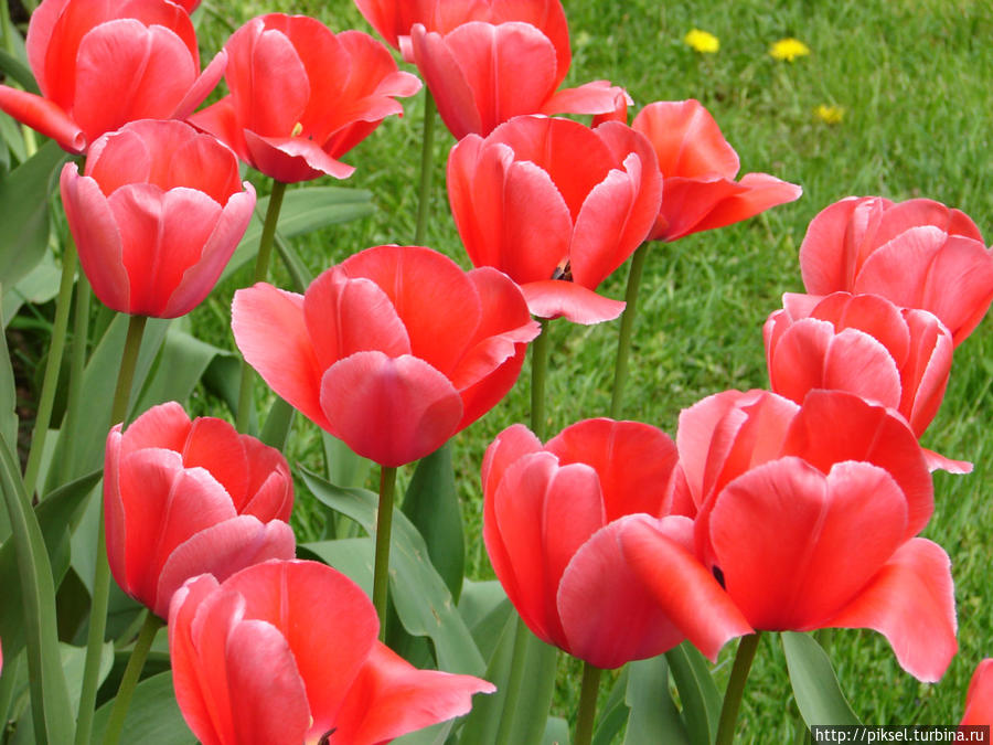 С Днем ПОБЕДЫ!!!