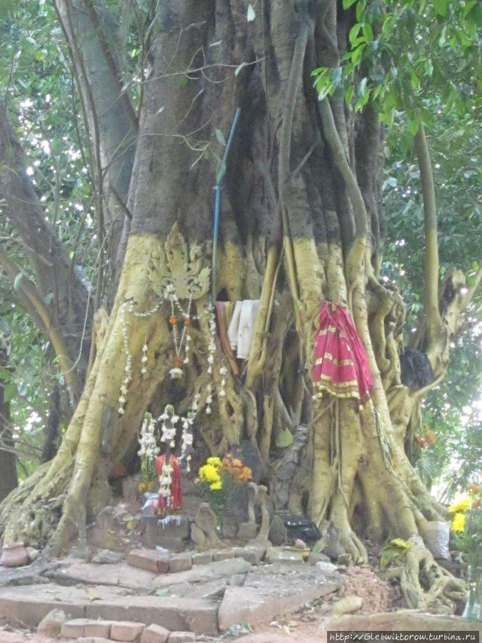 Kandawgyi Nature Park Янгон, Мьянма