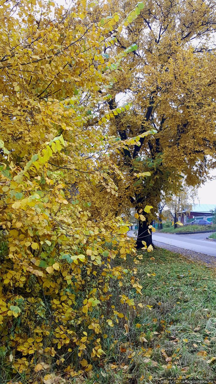 На Селивановой горе.