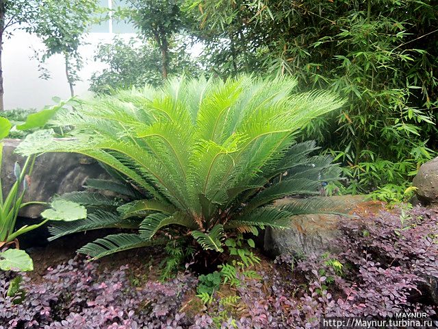 Разное о Китае Китай