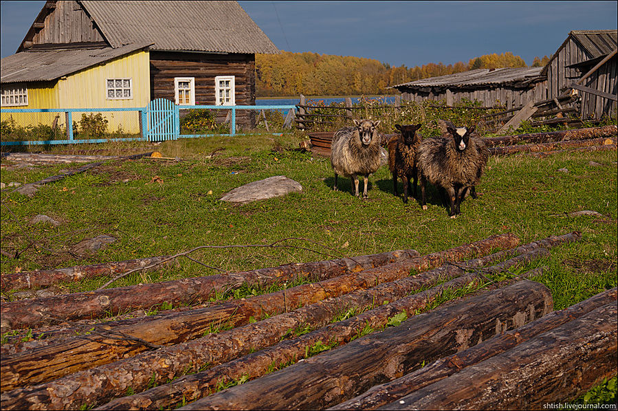 Россия. Кенозерье. Часть окружная Вершинино, Россия