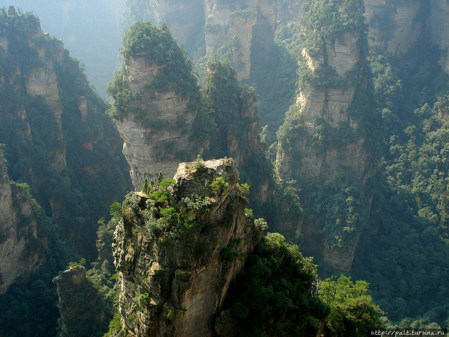 Оглушительная красота Тяньцзышаня Чжанцзяцзе Национальный Лесной Парк (Парк Аватар), Китай