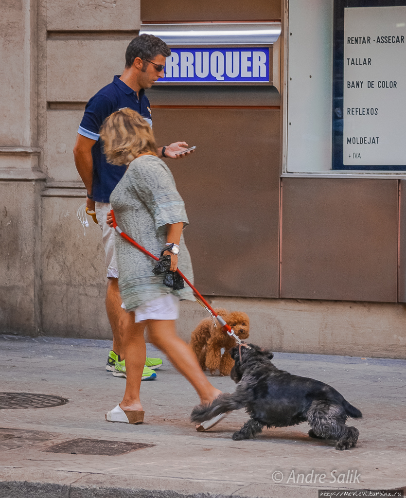 Над Барселоной Барселона, Испания