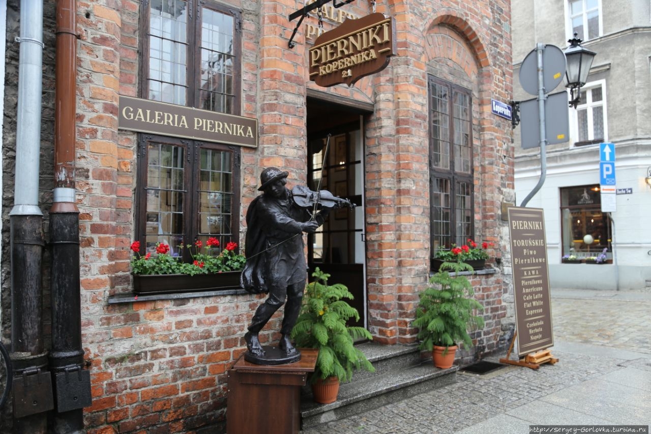 Жабы и скрипач Торунь, Польша