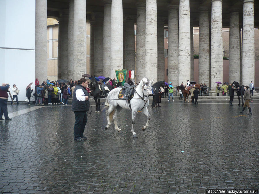 Неожиданное любование лошадьми Папы Римского Бенедикта XVI Ватикан (столица), Ватикан