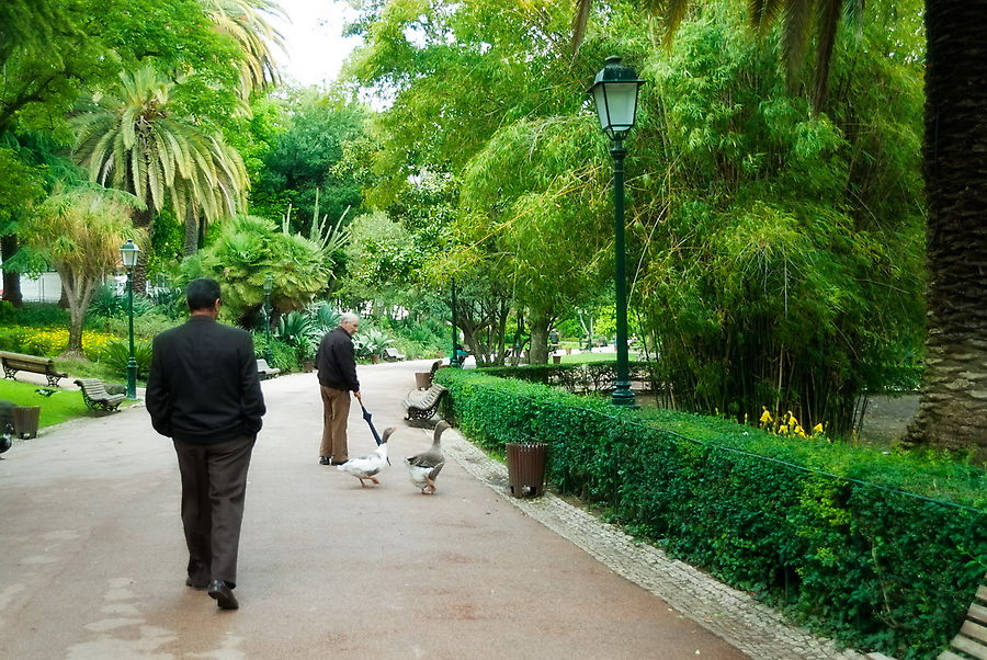 Лиссабон буквально утопает в зелени и парках. Лиссабон, Португалия