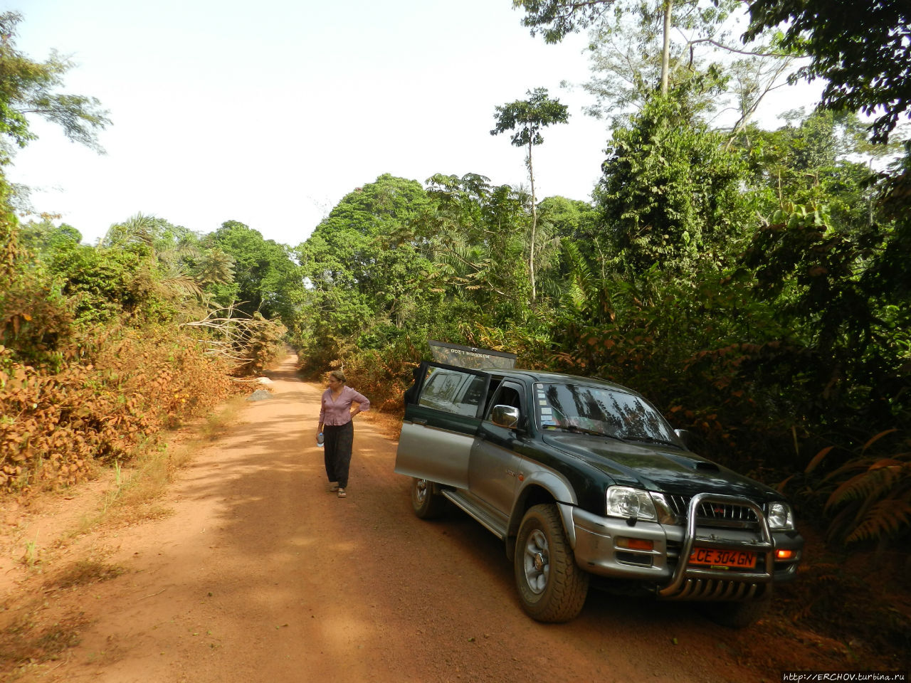 Камерун. Ч - 16. Тропический лес и Банту (люди леса)